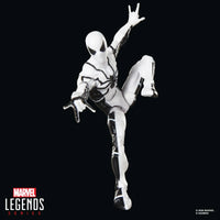 Marvel Legends Future Foundation Mister Fantastic & Spider-Man 2-Pack