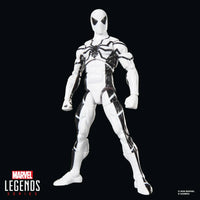 Marvel Legends Future Foundation Mister Fantastic & Spider-Man 2-Pack