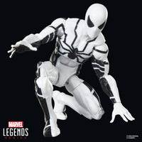 Marvel Legends Future Foundation Mister Fantastic & Spider-Man 2-Pack