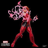 Avengers Marvel Legends Series Vision & Scarlet Witch 6-Inch Action Figure 2-Pack - Blue Unlimited Toys & Collectibles