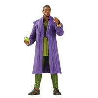 Marvel Legends Loki He-Who-Remains 6-Inch Action Figure - Blue Unlimited Toys & Collectibles