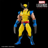 Marvel Legends Wolverine X-Men Animated - blueUtoys